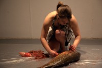 /album/fish/fish-jpg/