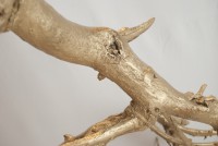 /album/garden-of-greed/a4-jpg/