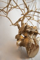 /album/garden-of-greed/a6-jpg1/