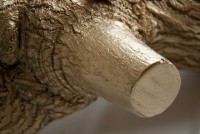 /album/garden-of-greed/a10-jpg1/
