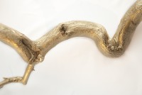 /album/garden-of-greed/detail1-jpg/