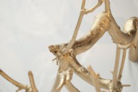 /album/garden-of-greed/detail2-jpg/