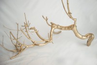 /album/garden-of-greed/midastouch1-jpg/